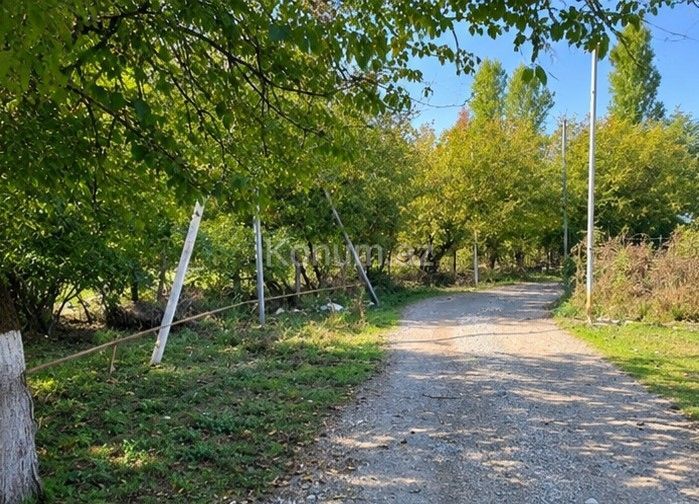 4 sot - Qusar - satılır — foto 2