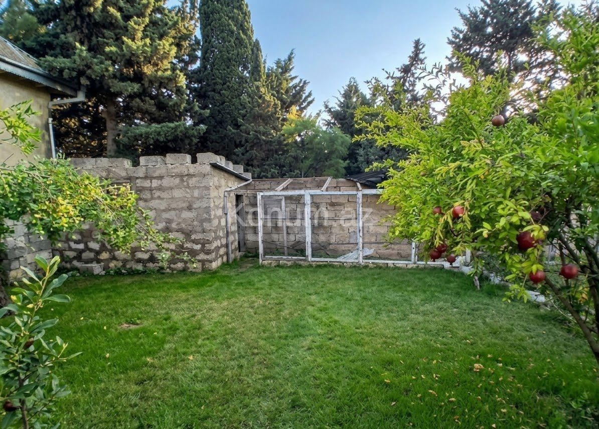 12 sot - Bakı, Sabunçu - satılır — foto 2