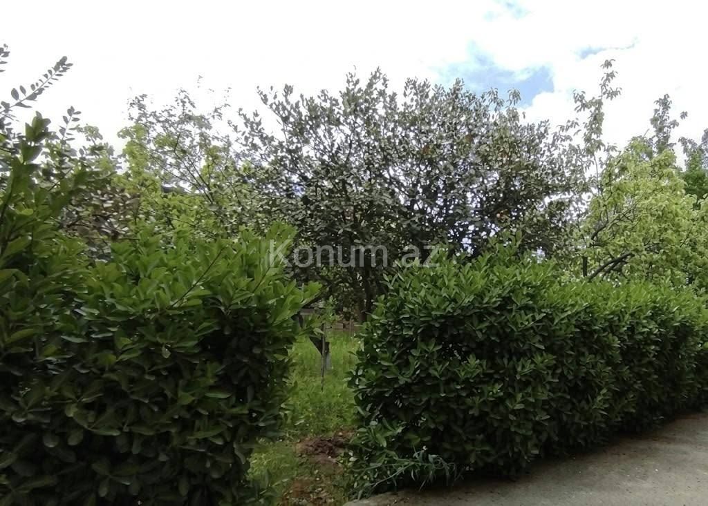 3,5 sot - Bakı, Abşeron - satılır — foto 3