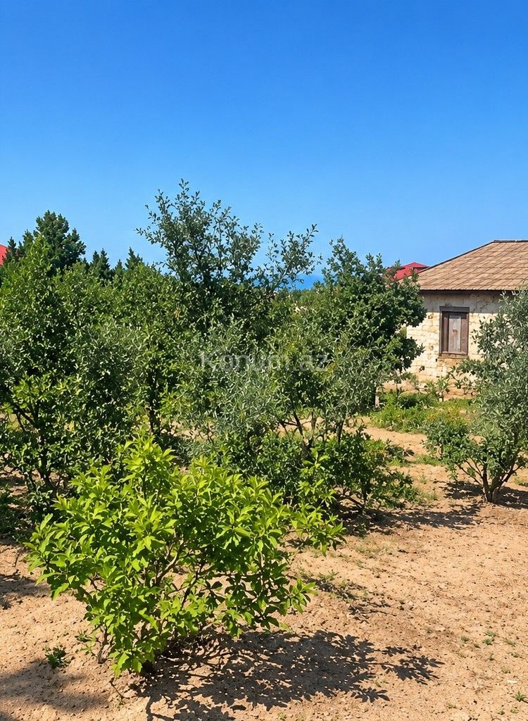 16 sot - Bakı, Abşeron - satılır — foto 2