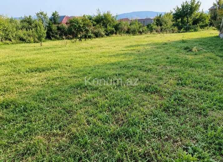 10 sot - İsmayıllı - satılır — foto 4