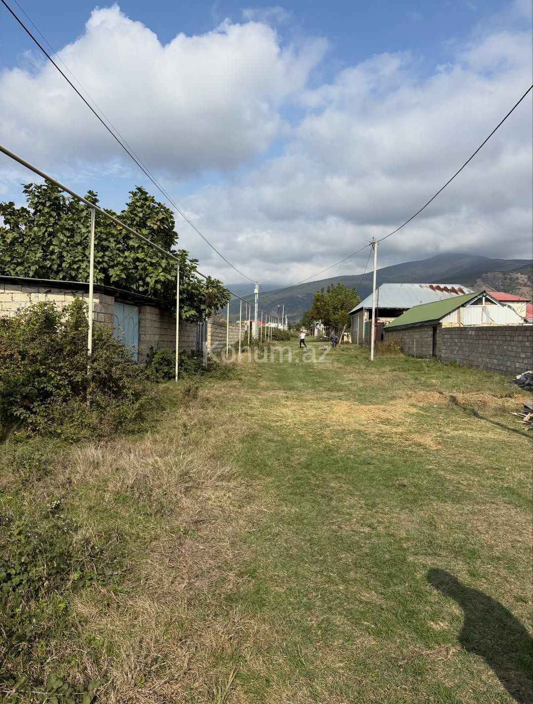 6 sot - Şəki - satılır — foto 3