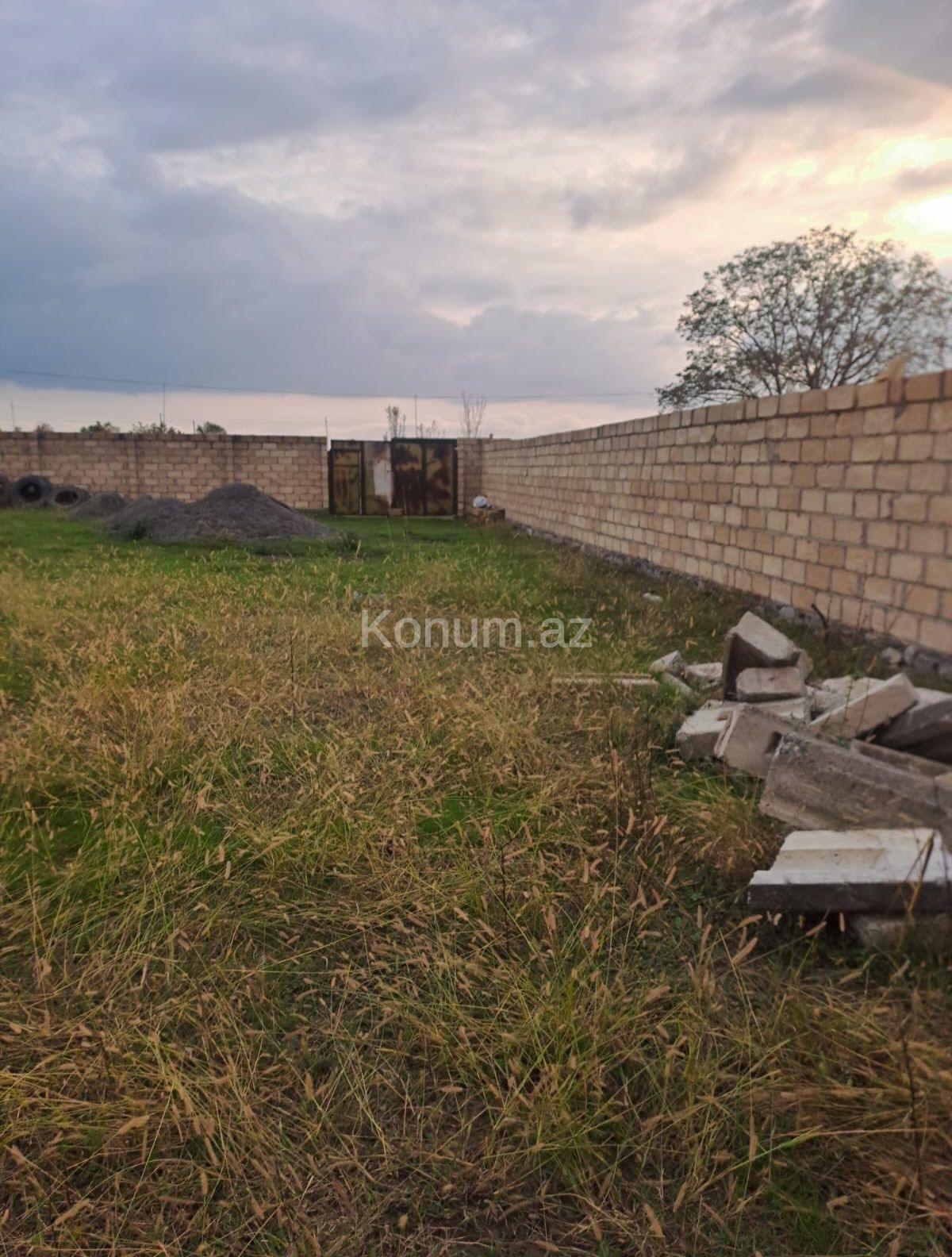 6 sot - Şəki - satılır — foto 2