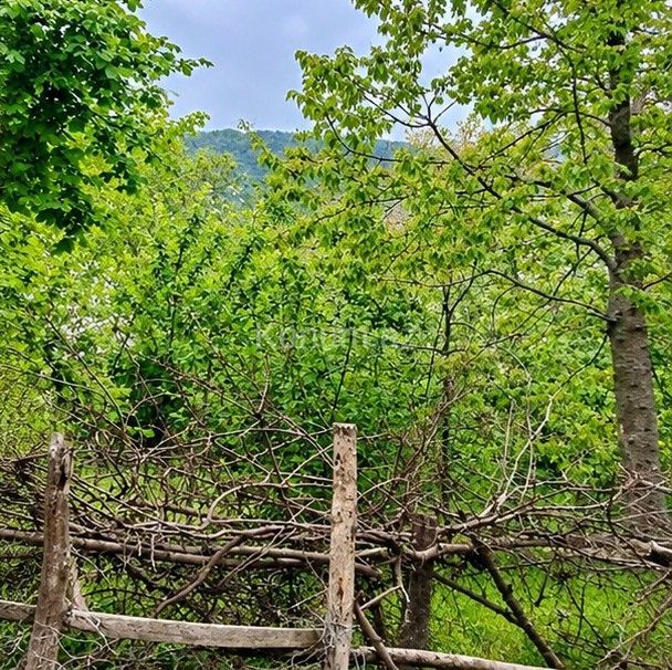 8 sot - Gabala - For sale — photo 4