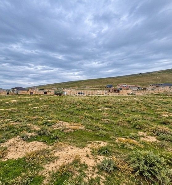 8 sot - Baku, Absheron - For sale — photo 2