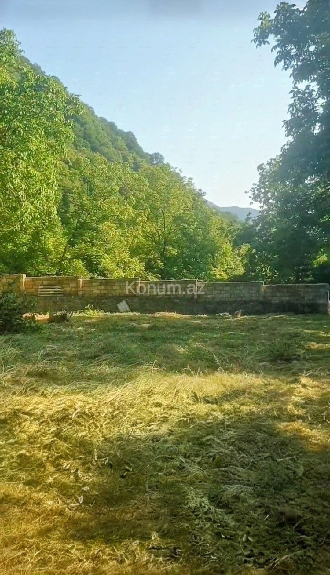 Şəkil