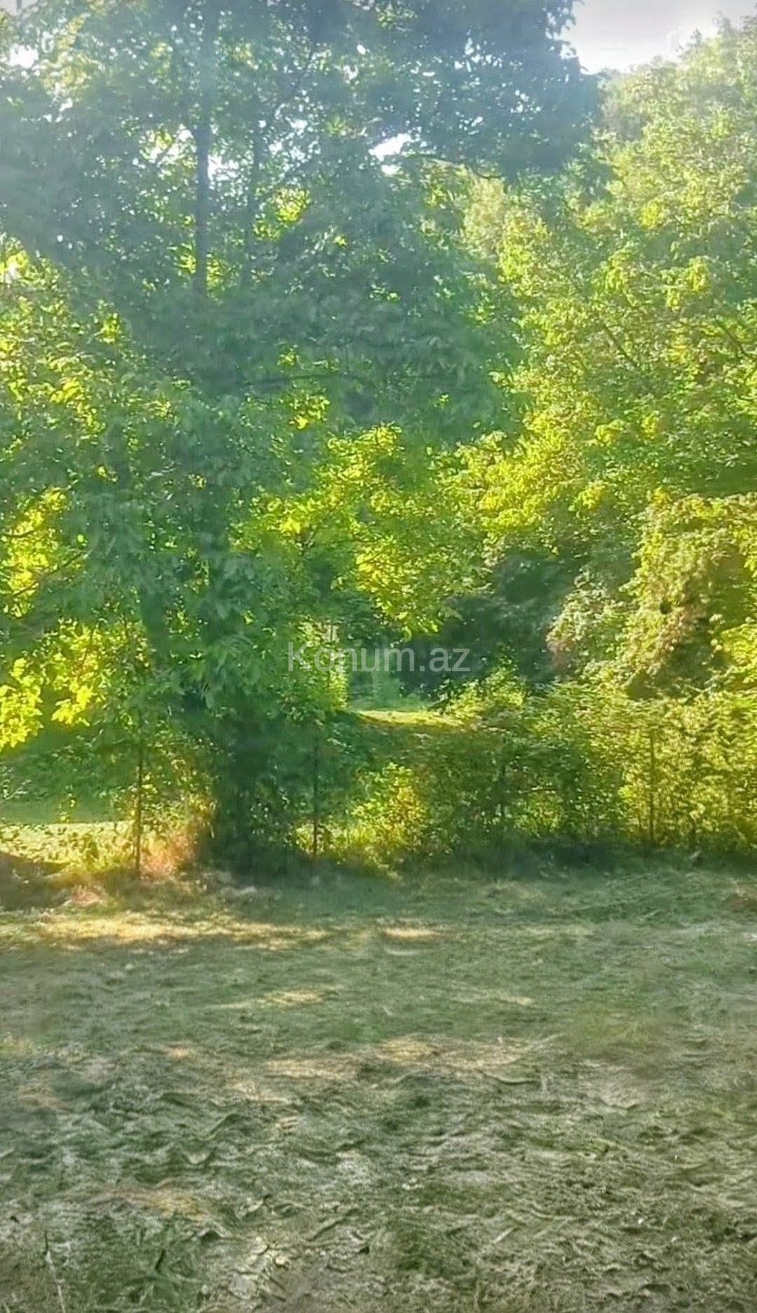 Şəkil