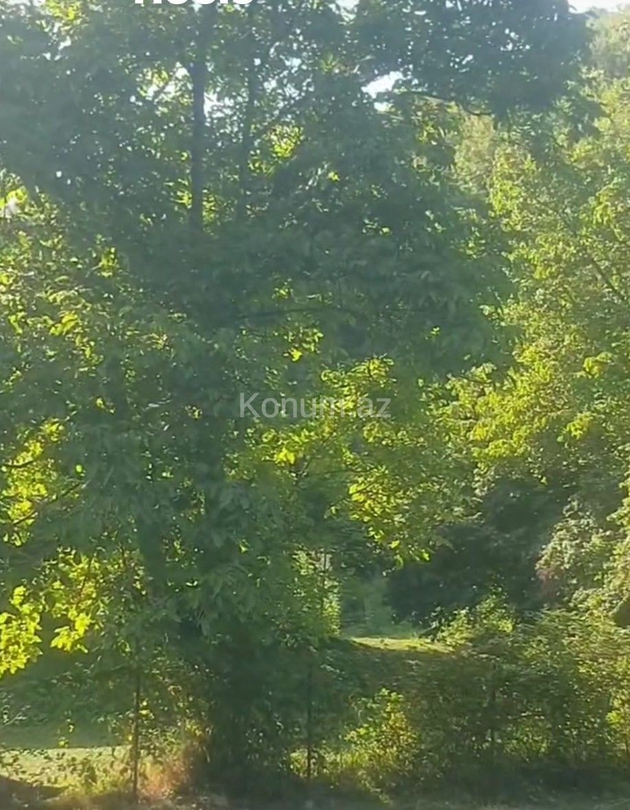Şəkil