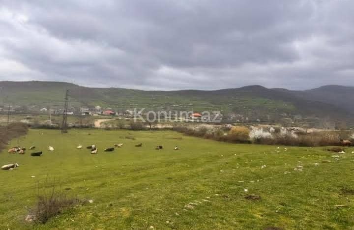 Şəkil