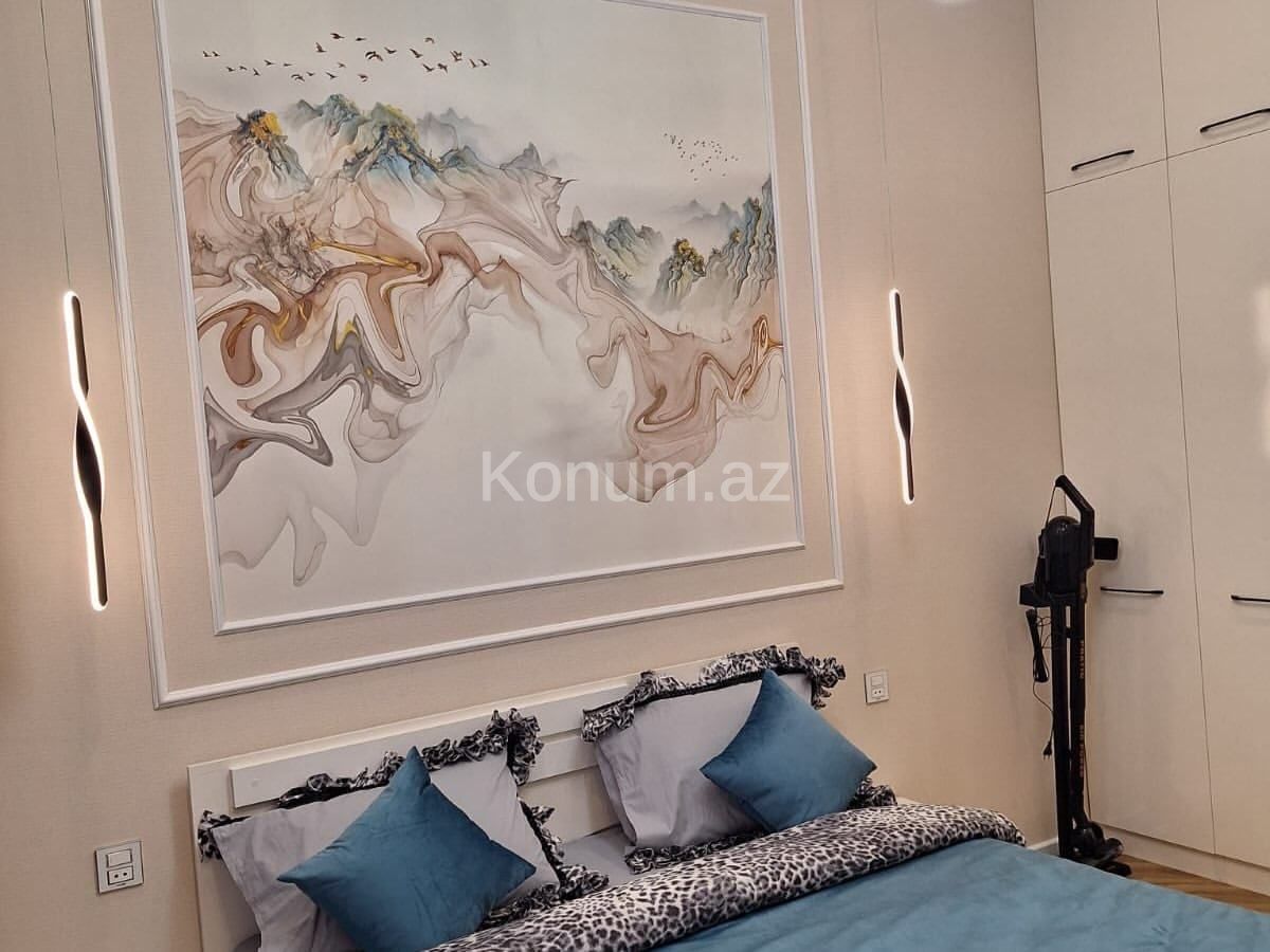 1 otaq, 50 m², 11/17 mərtəbə - Bakı, Nəsimi - kirayə — foto 3