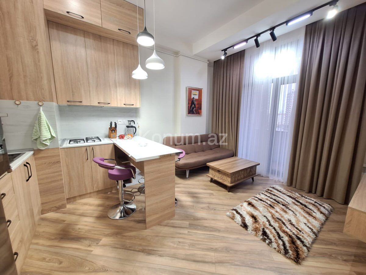 1 otaq, 50 m², 11/17 mərtəbə - Bakı, Nəsimi - kirayə — foto 4
