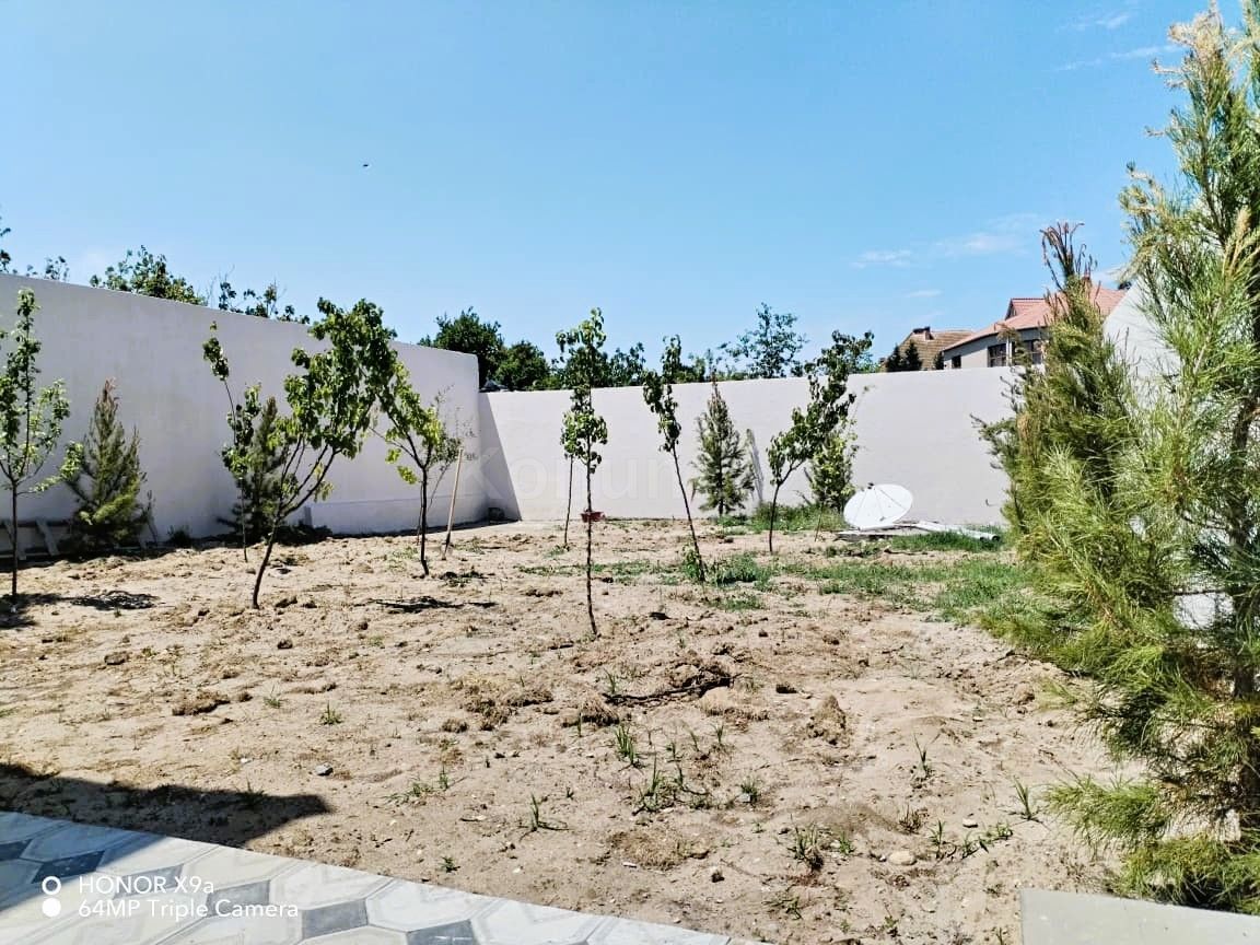 Şəkil