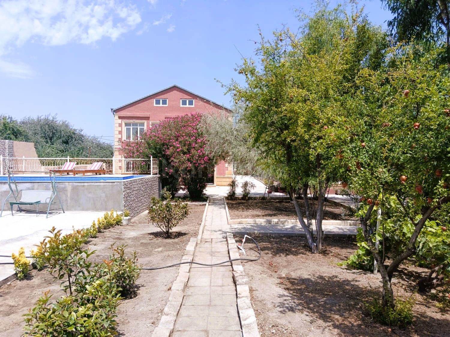 Şəkil