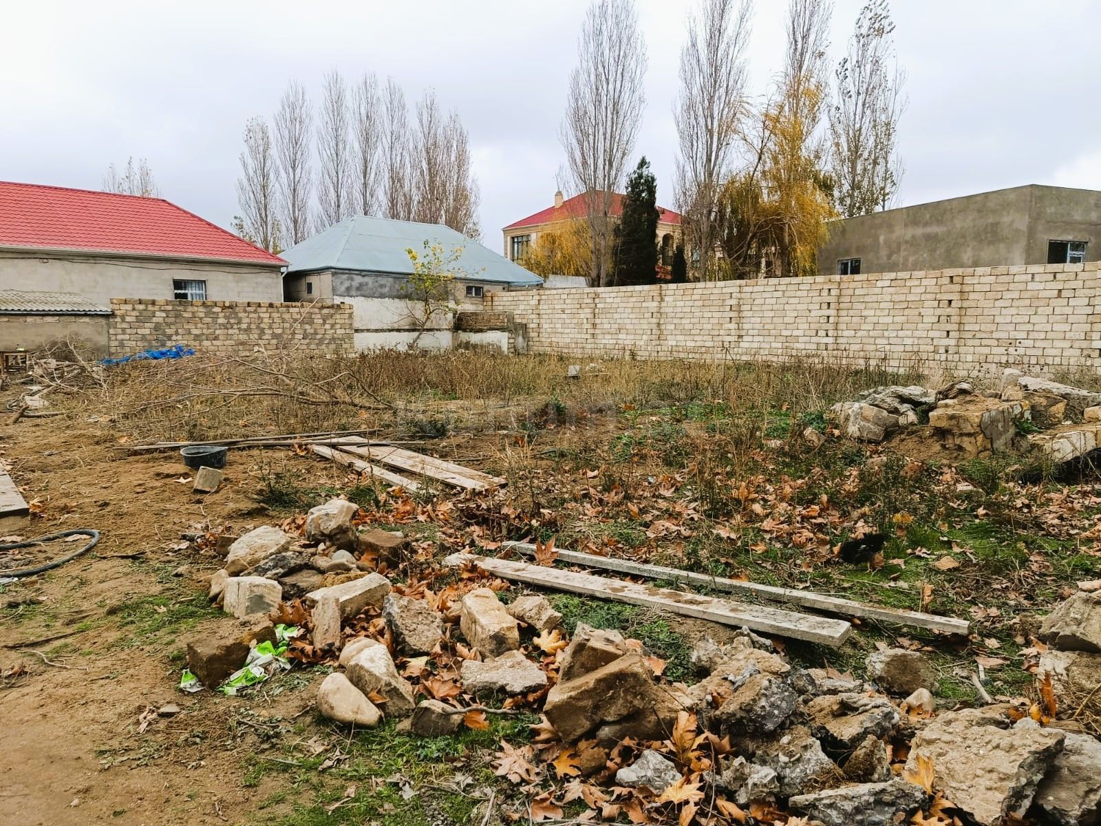 Şəkil