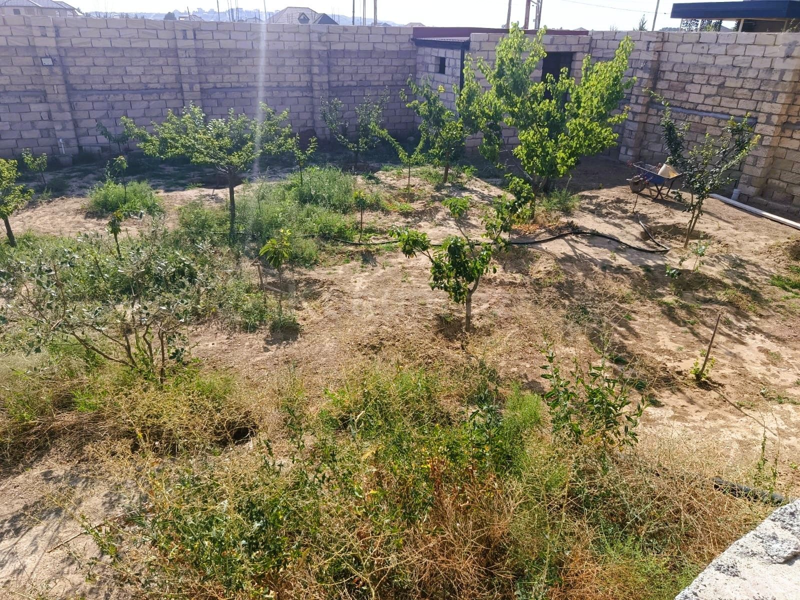 Şəkil