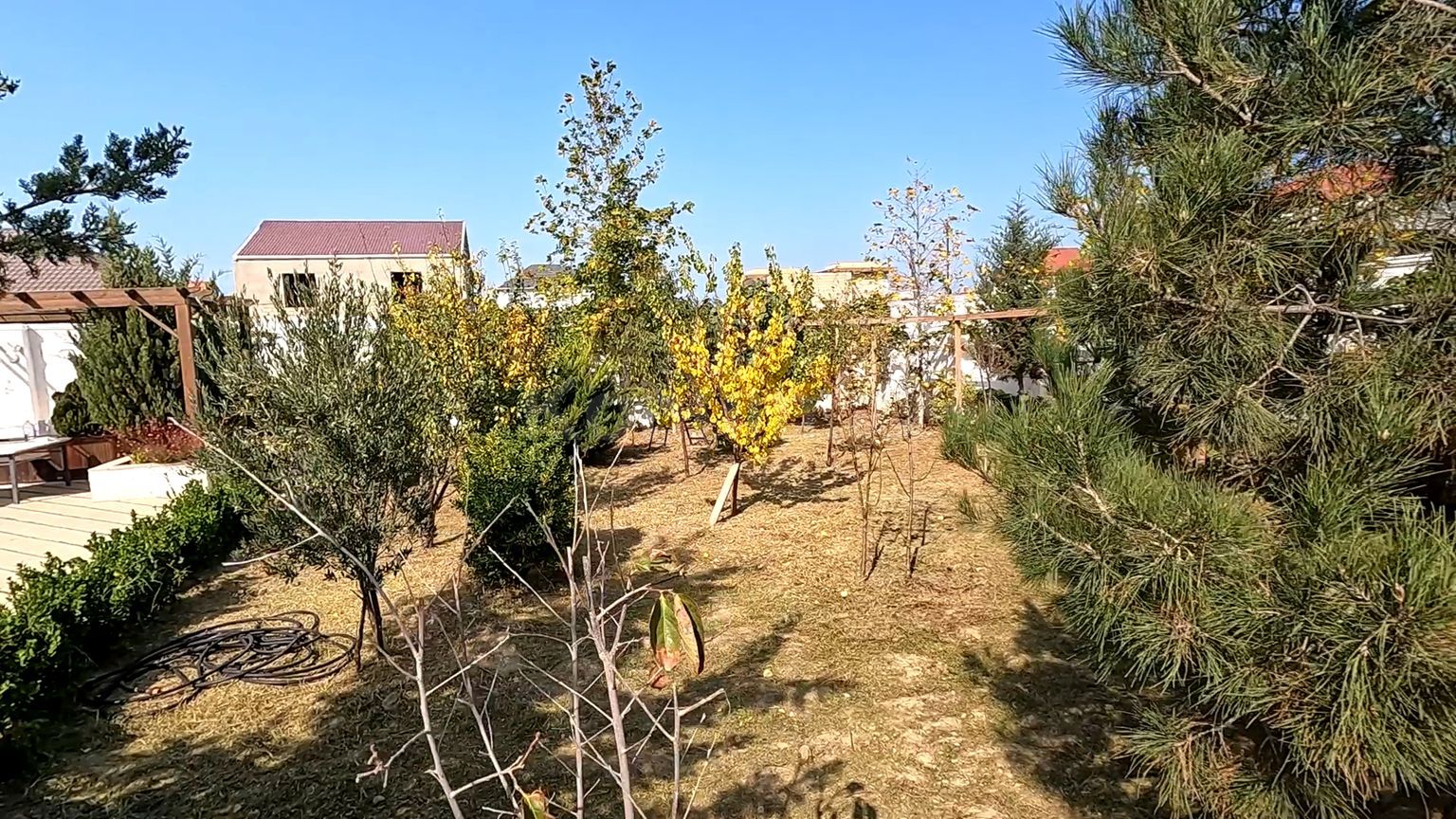 Şəkil