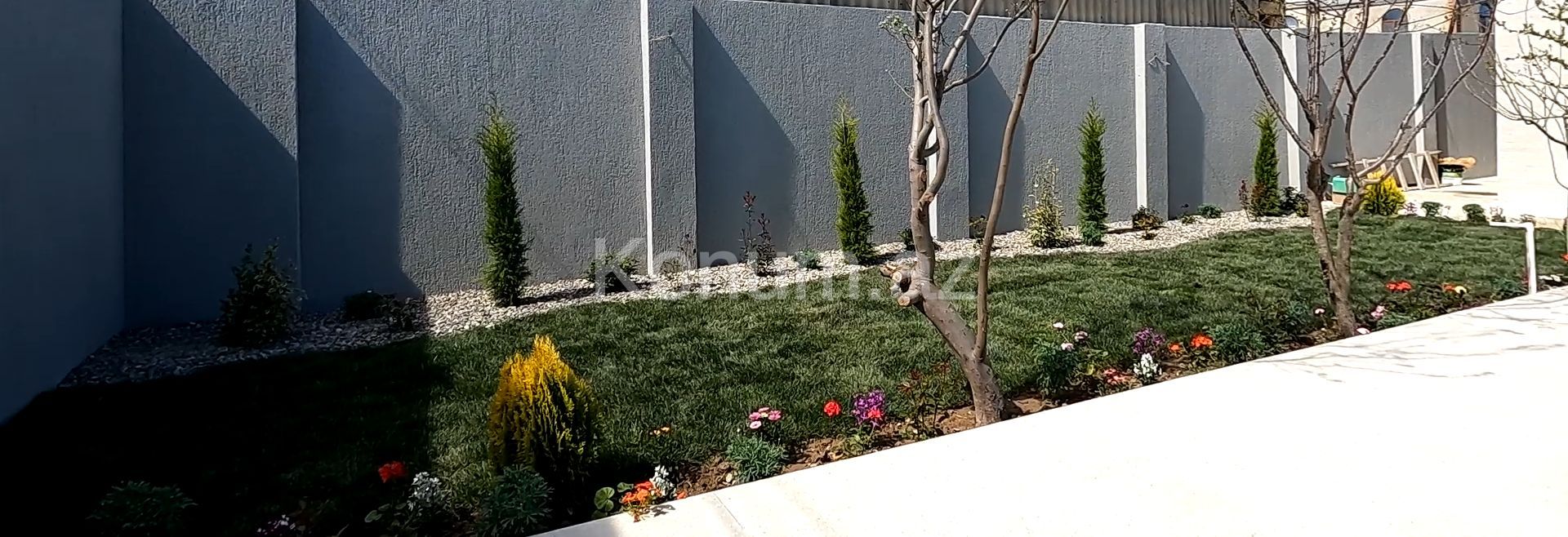 Şəkil