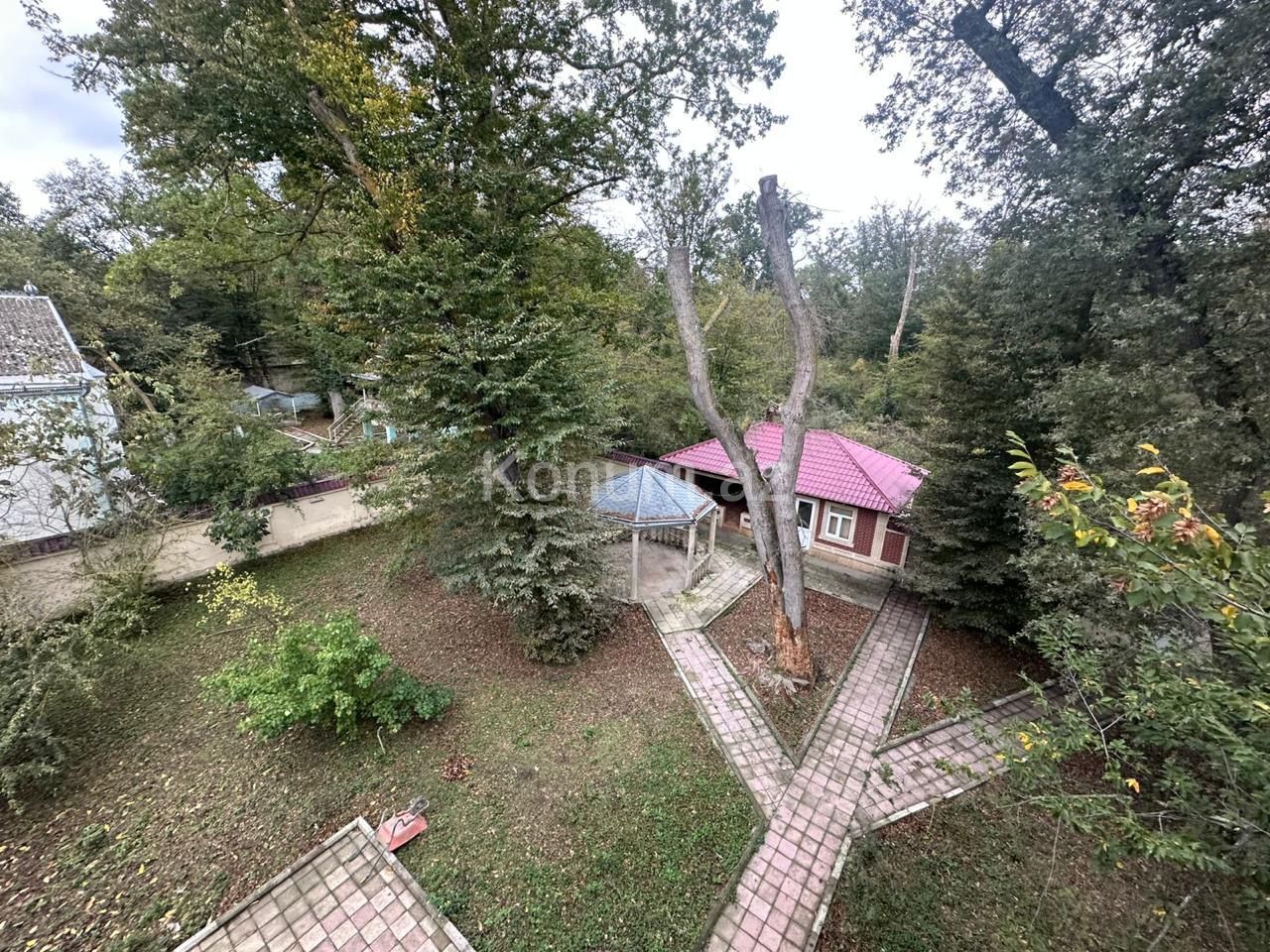 Şəkil