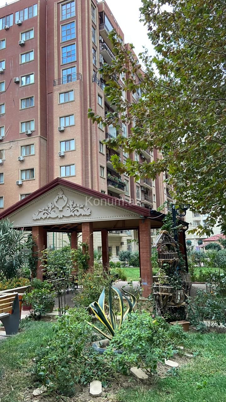 Şəkil