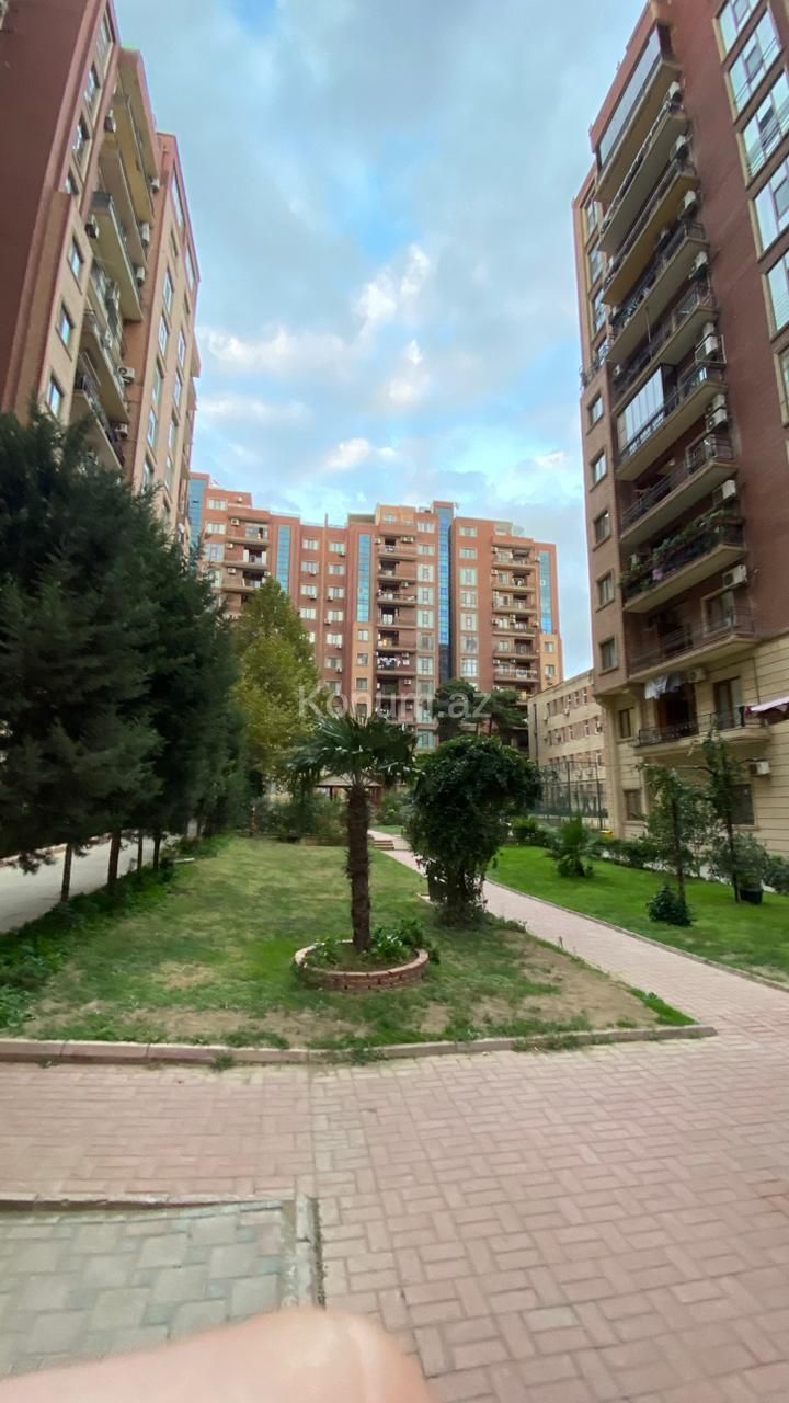 Şəkil