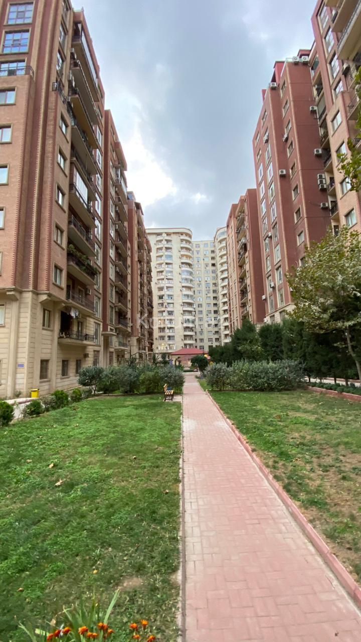 Şəkil