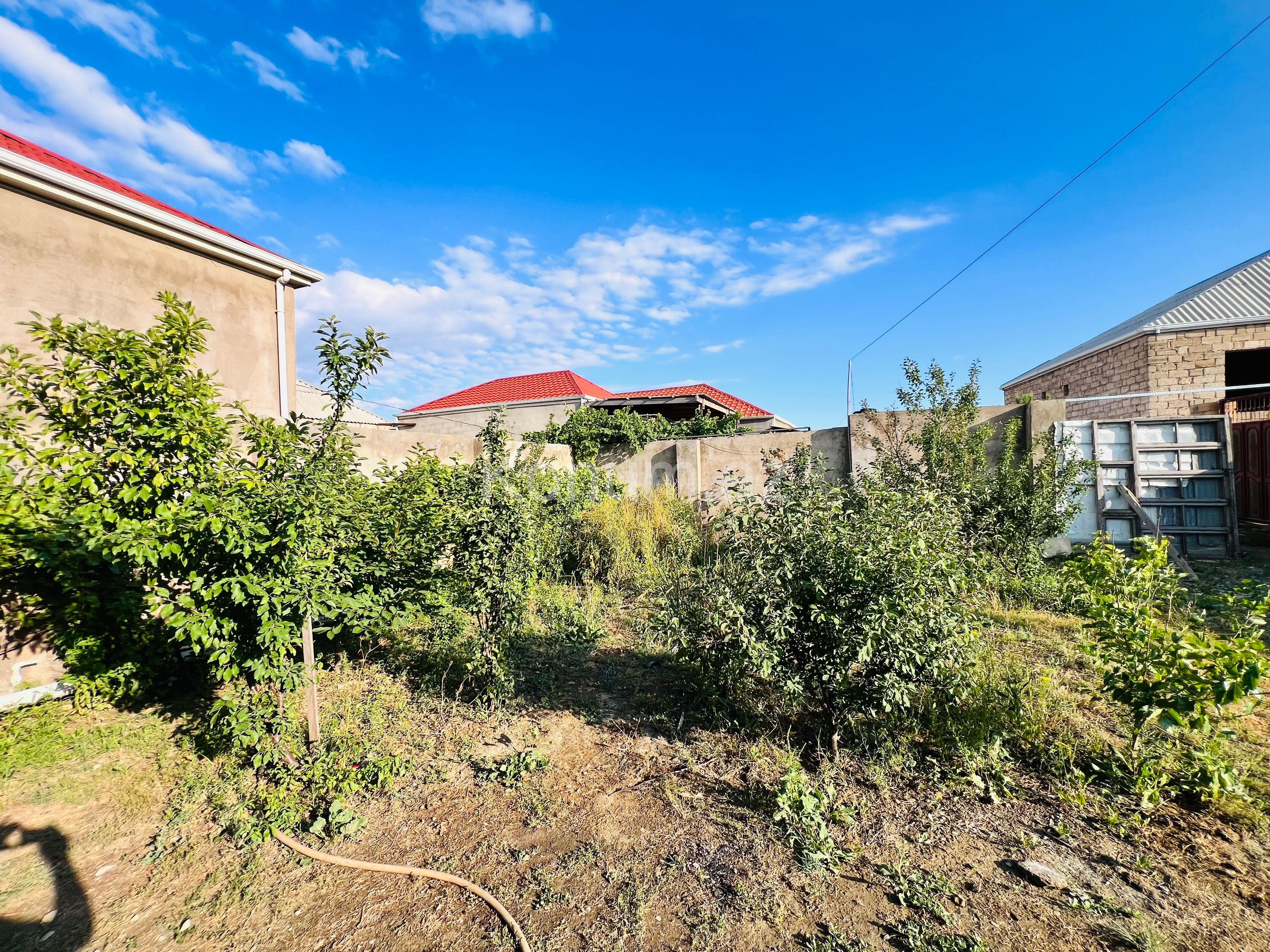 Şəkil