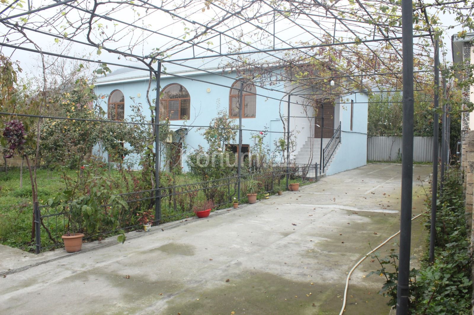 Şəkil