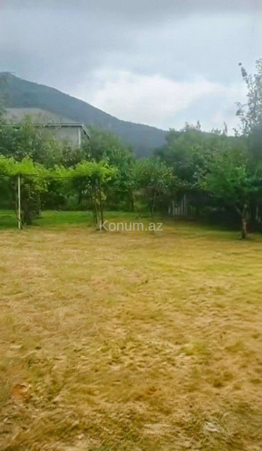 Şəkil