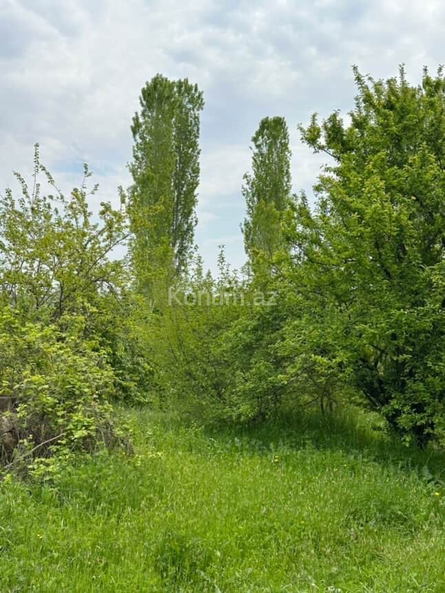 Şəkil