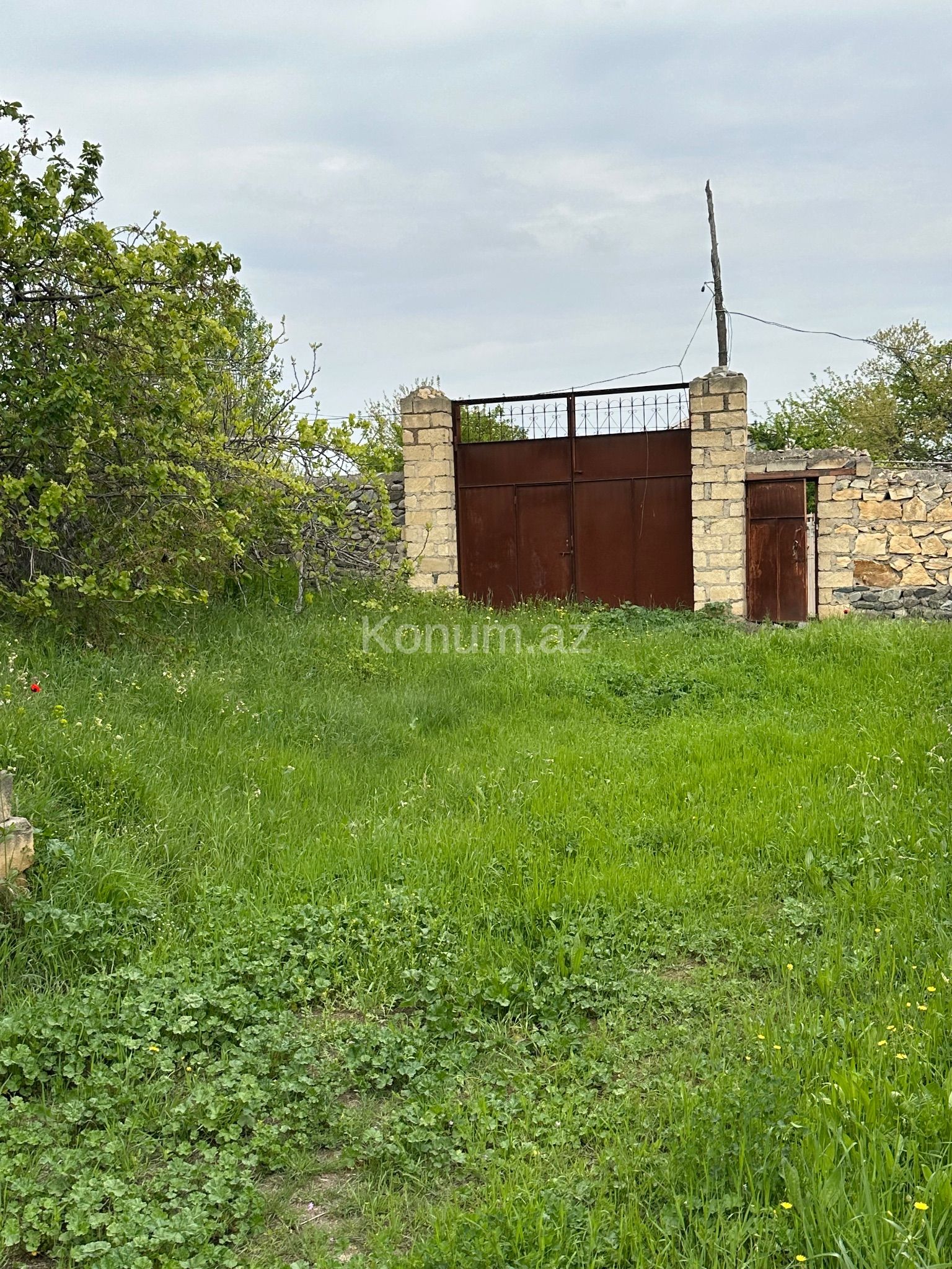 Şəkil