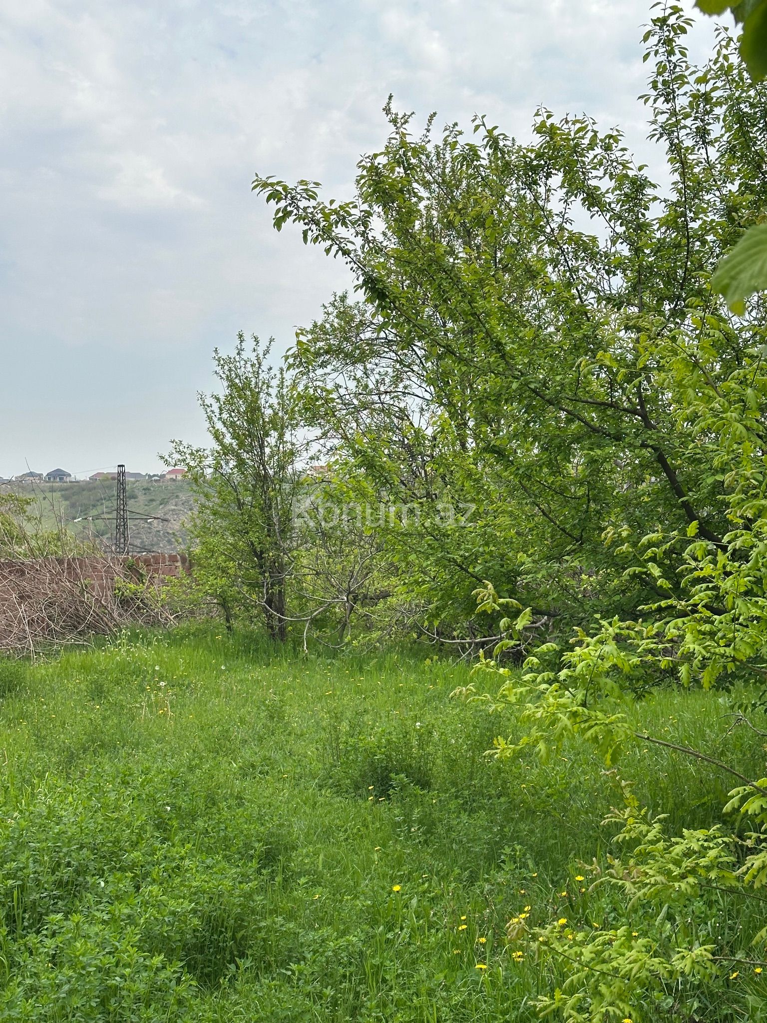 Şəkil