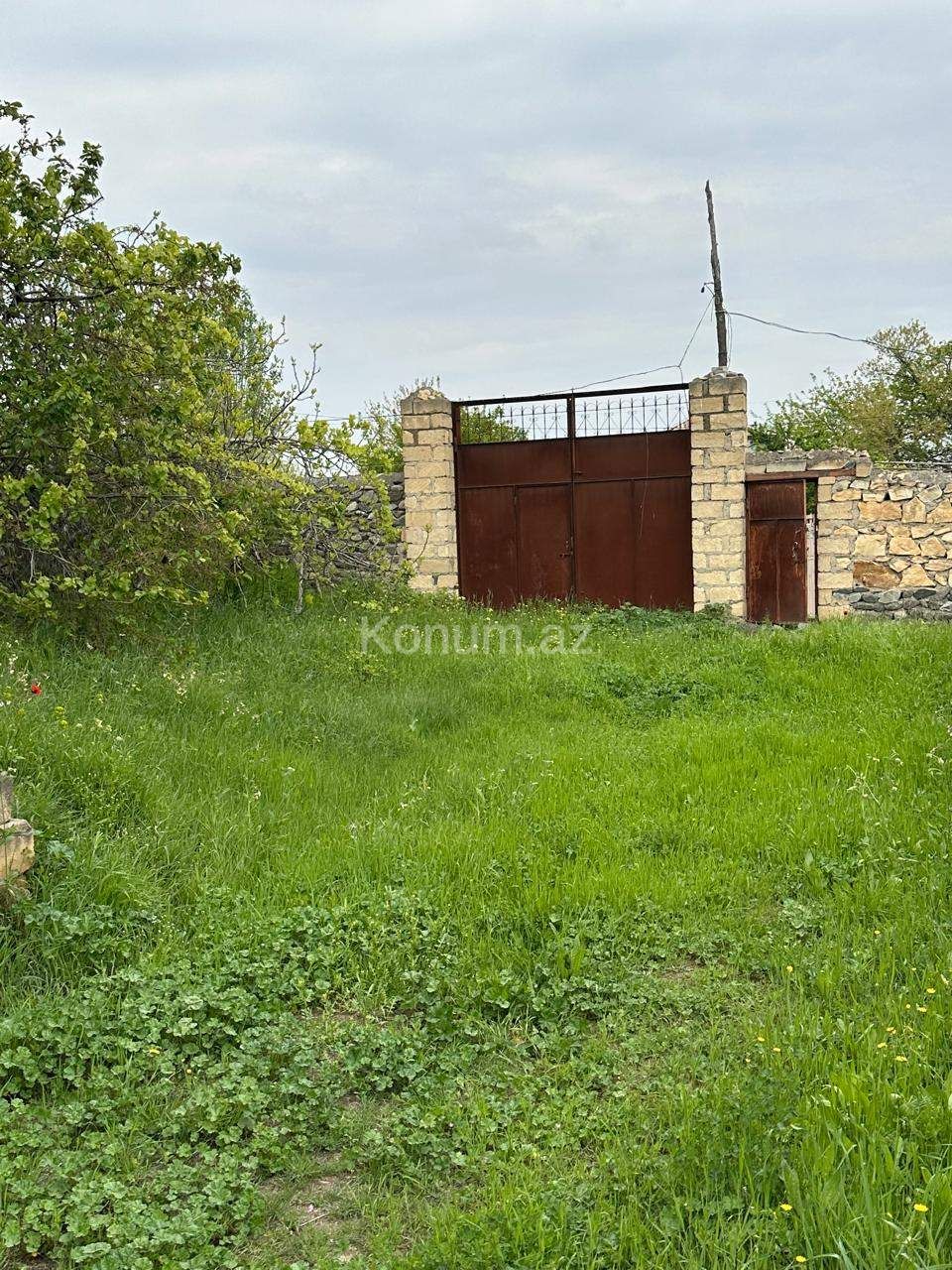 Şəkil