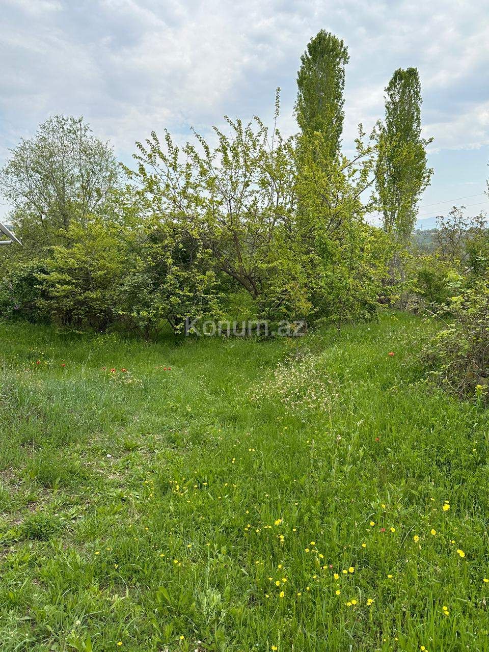 Şəkil
