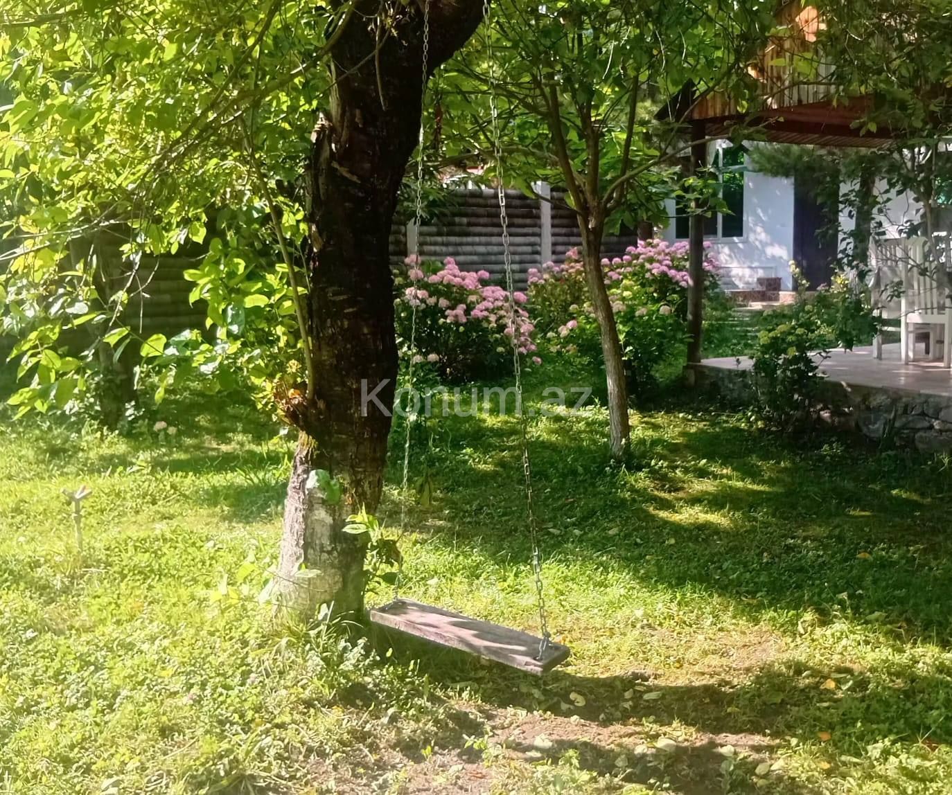 Şəkil