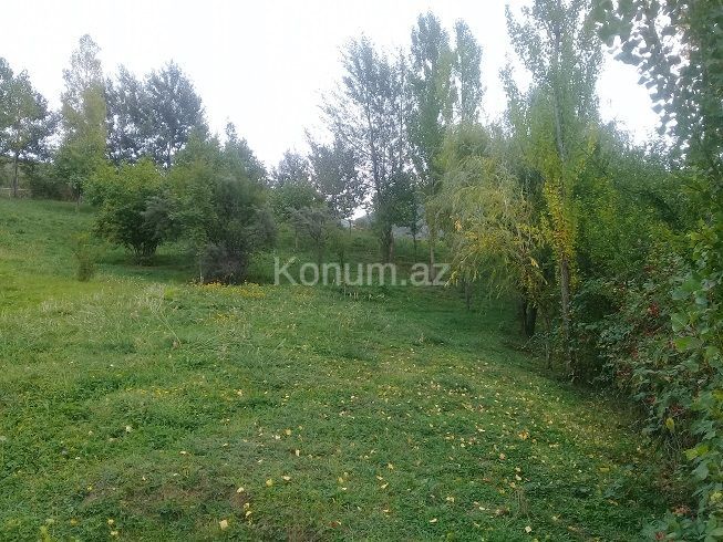 16 sot - İsmayıllı - satılır — foto 3