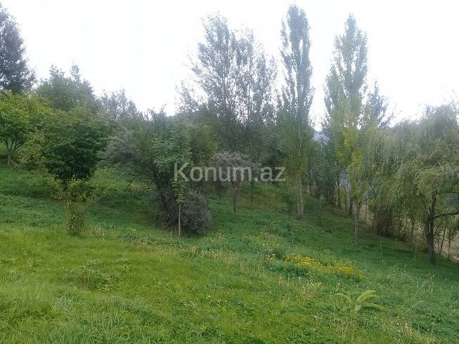 16 sot - İsmayıllı - satılır — foto 4