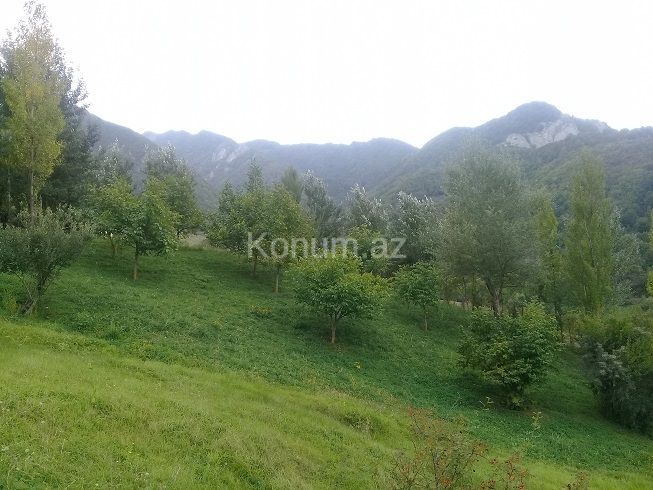 16 sot - İsmayıllı - satılır — foto 5