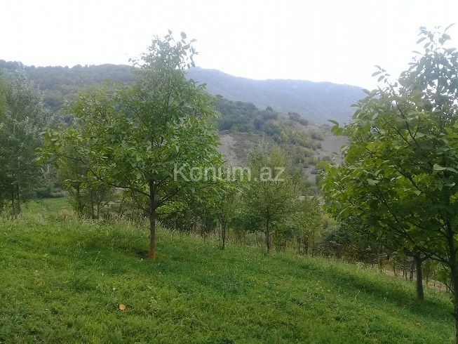 16 sot - İsmayıllı - satılır — foto 6
