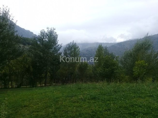 16 sot - İsmayıllı - satılır — foto 8