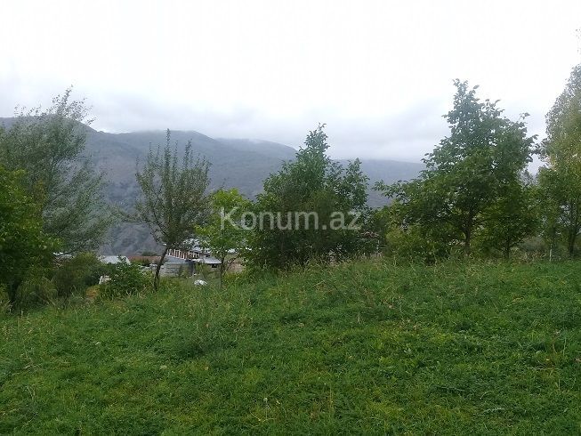 16 sot - İsmayıllı - satılır — foto 9