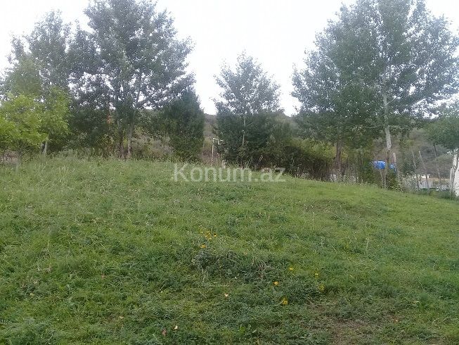 16 sot - İsmayıllı - satılır — foto 10