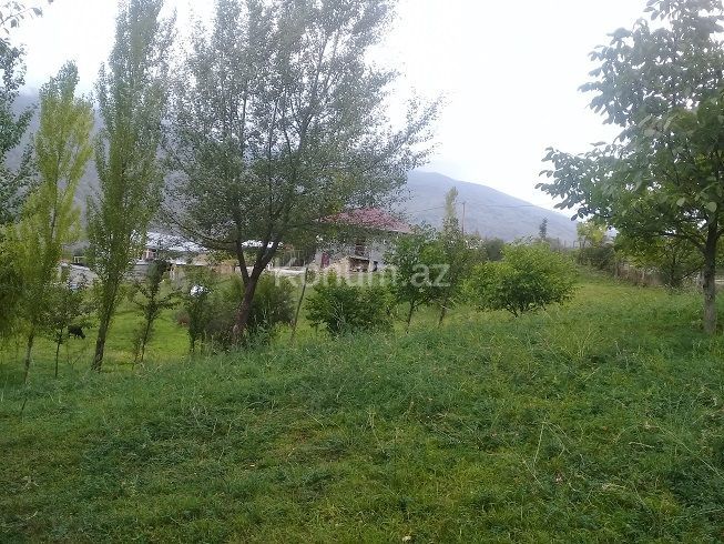 16 sot - İsmayıllı - satılır — foto 12