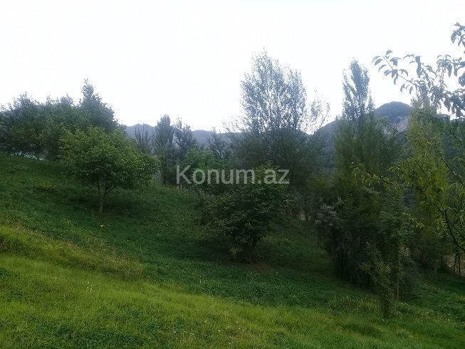 16 sot - İsmayıllı - satılır — foto 14