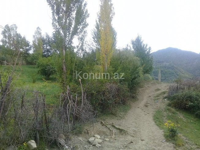 16 sot - İsmayıllı - satılır — foto 15
