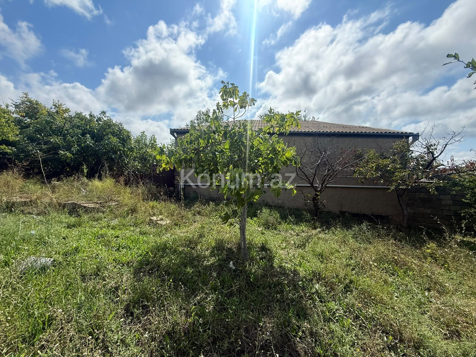 10 sot - Bakı, Abşeron - satılır — foto 6