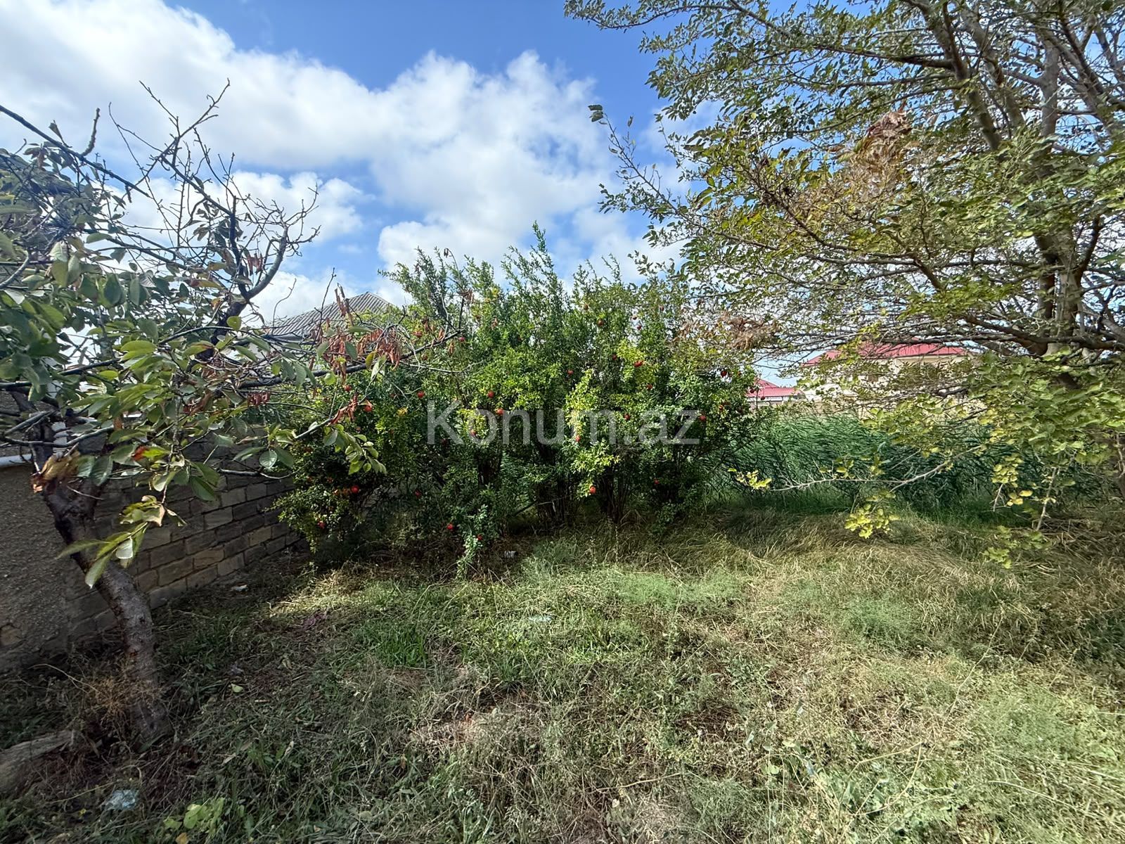 10 sot - Bakı, Abşeron - satılır — foto 7